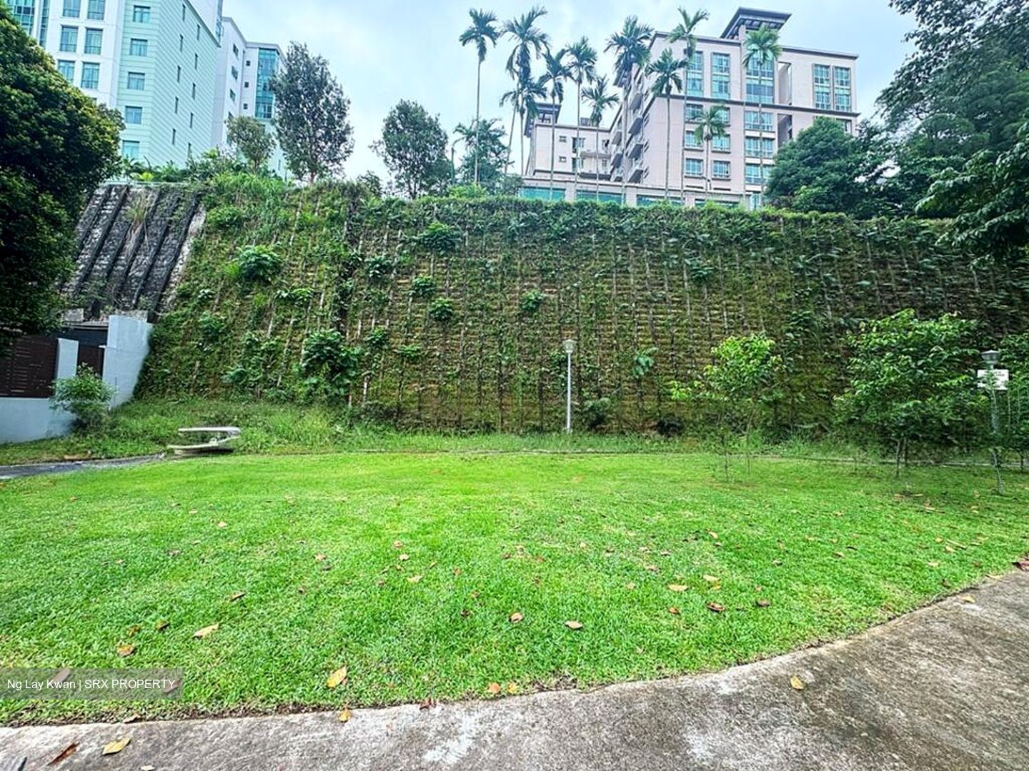 Hillview Avenue (D23), Terrace #498135971